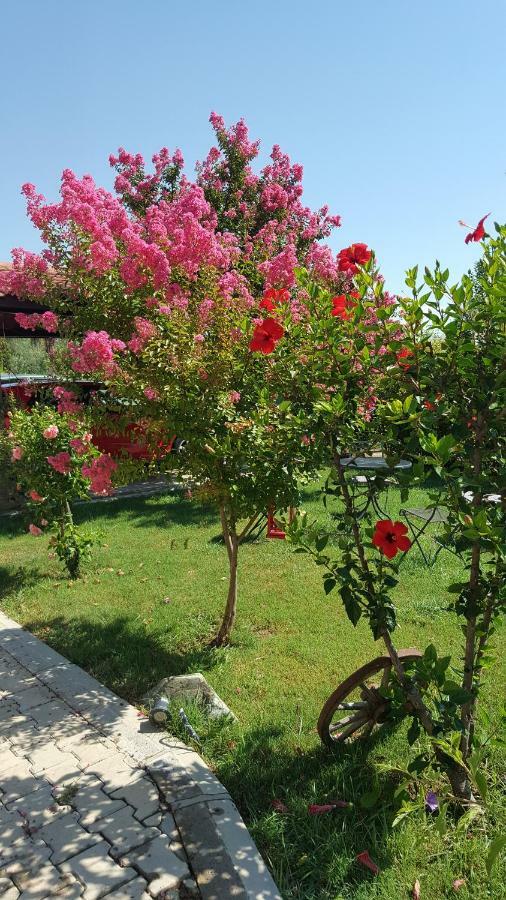 Villa Bade Dalyan Exterior photo
